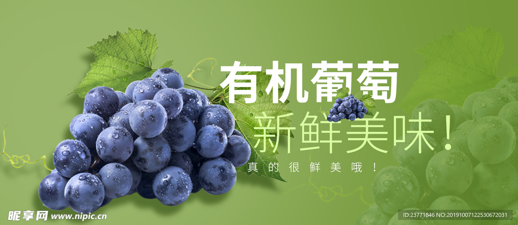 有机葡萄