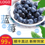 蓝莓主图