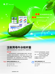 绿色药品海报