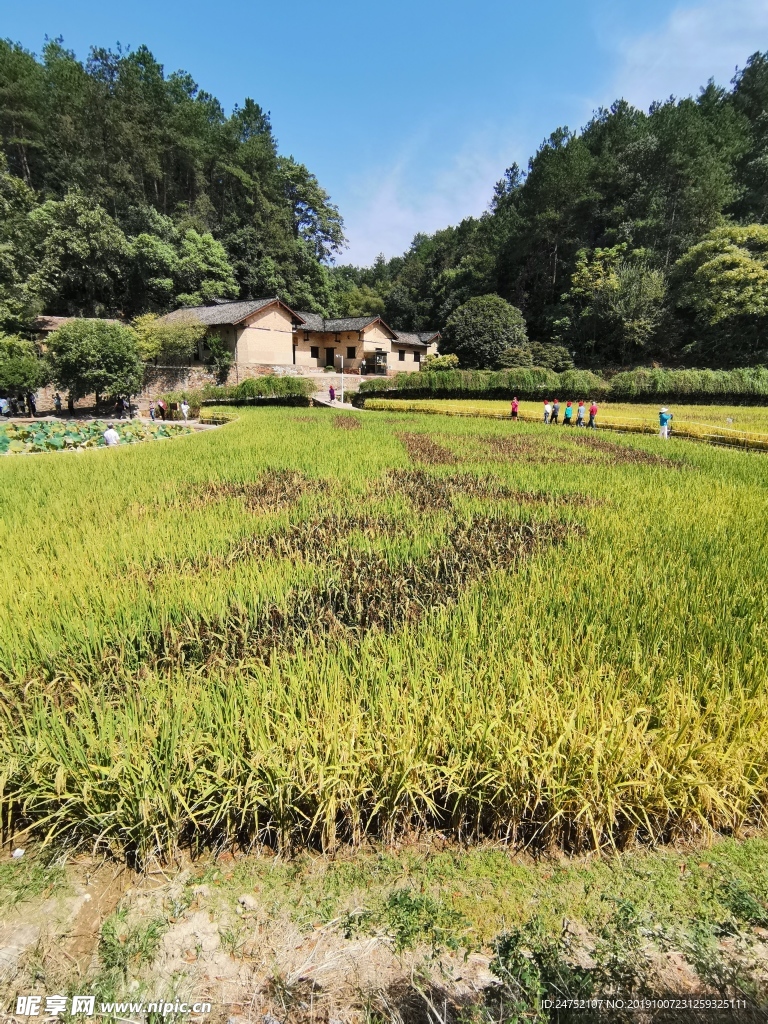 韶山