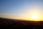 拉拉提夕阳