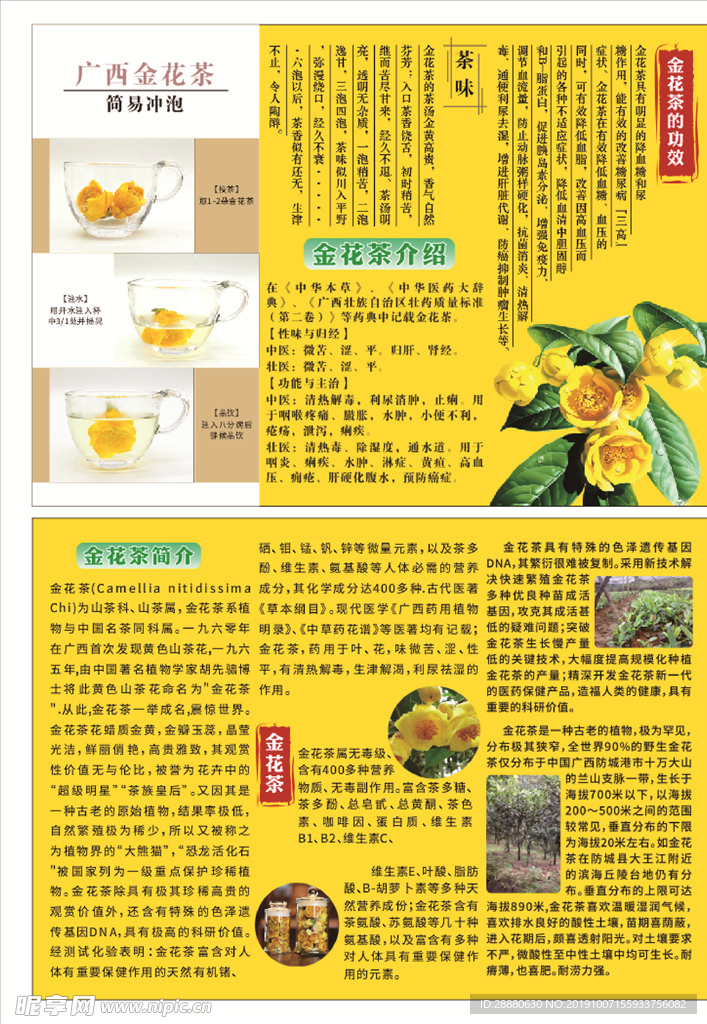 金花茶