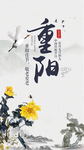 重阳节