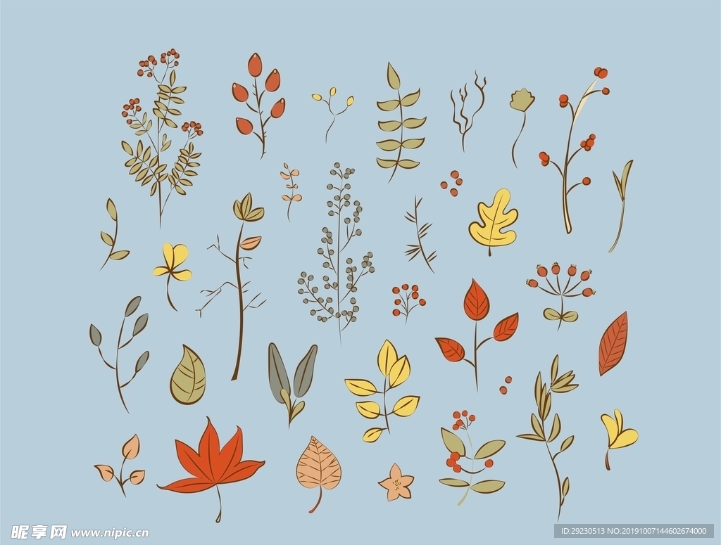 秋季叶子和花卉