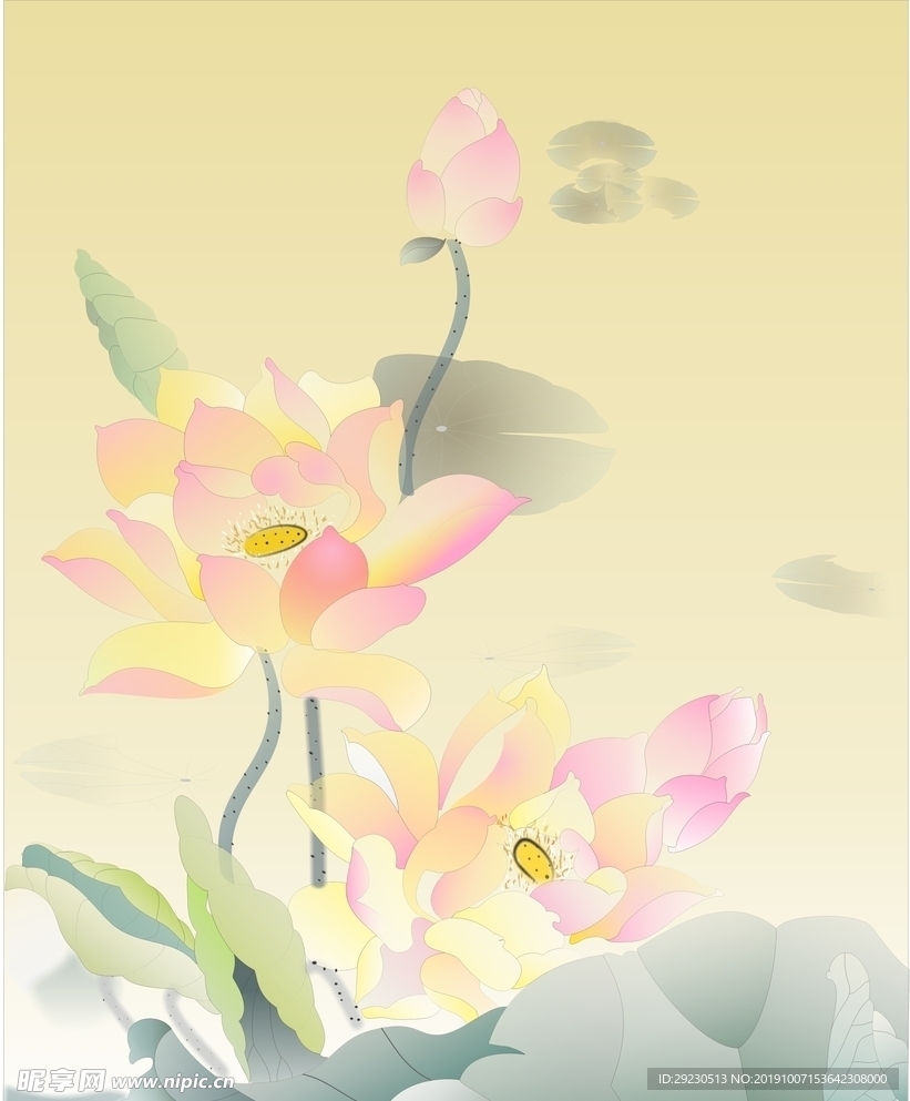 荷花1