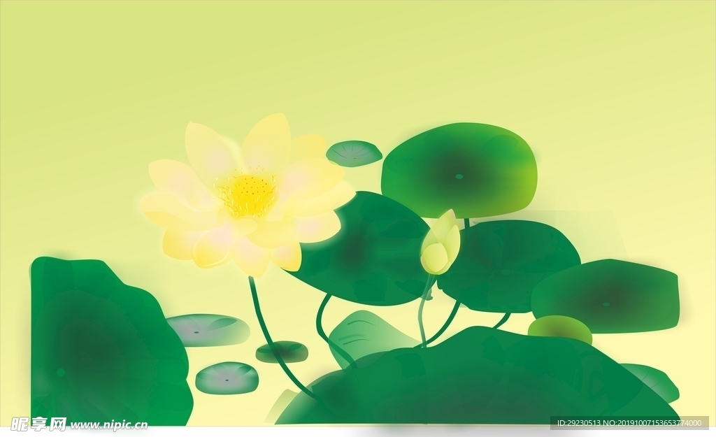 荷花