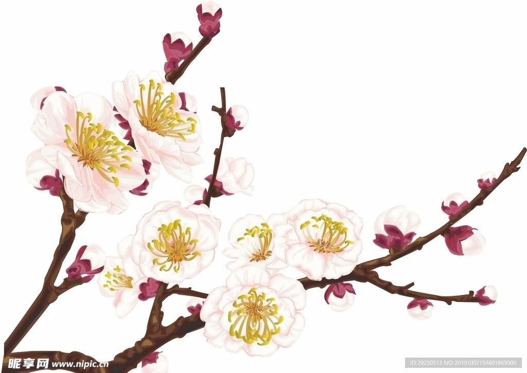 梅花