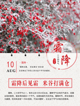 霜降二十四节气宣传海报