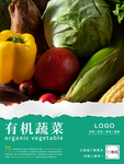 有机蔬菜