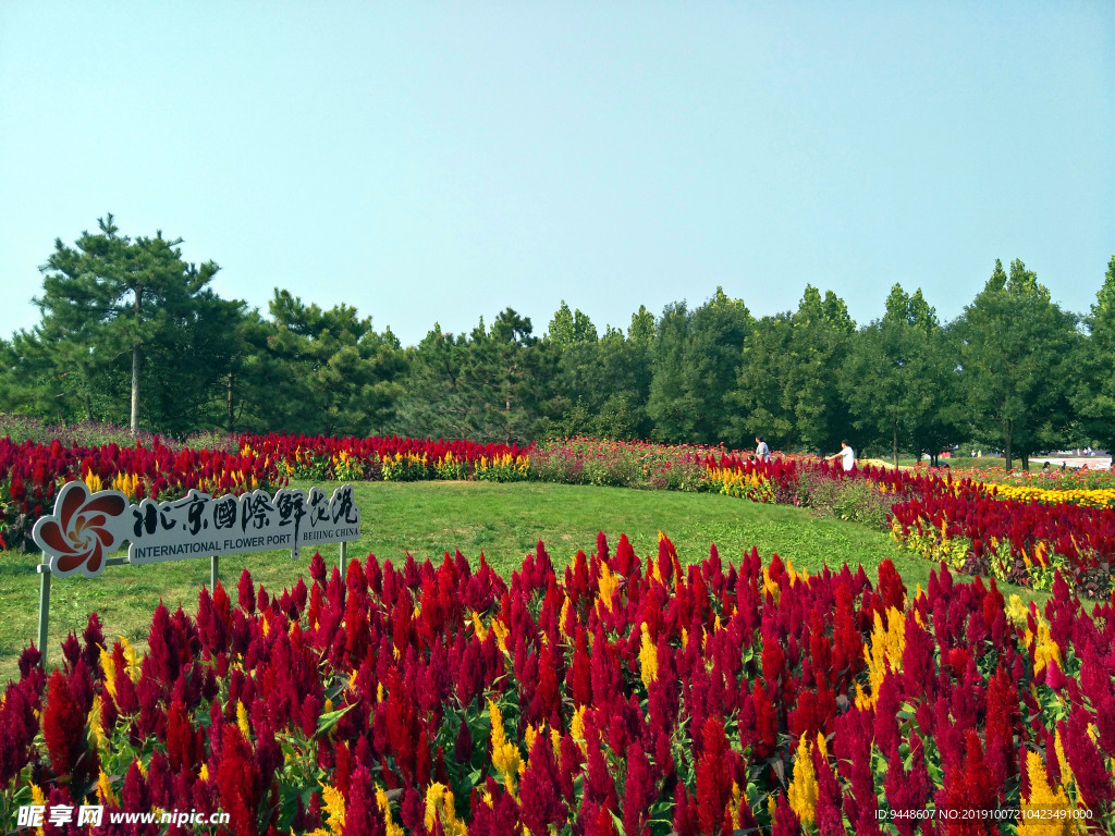 北京鲜花港