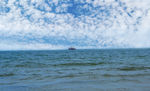 大海
