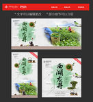 西湖龙井 龙井茶 龙井绿茶