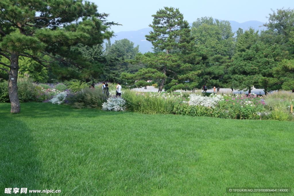植物园风景