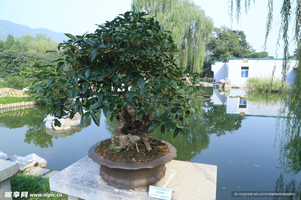 植物园风景