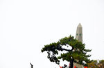 华山之美