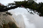 华山之美