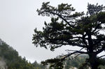 华山之美