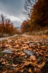 山
