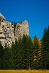 山