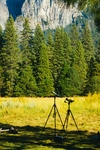 山
