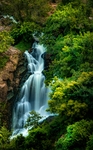 山