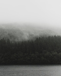 山