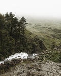 山