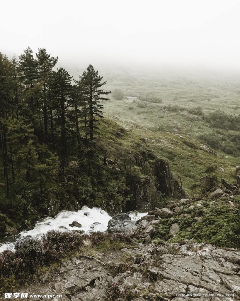 山