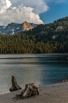 山