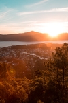 山