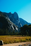 山