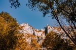 山