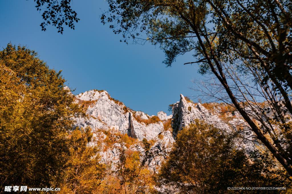 山