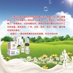 益缘贝海报