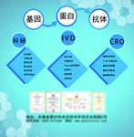 基因蛋白抗体展会