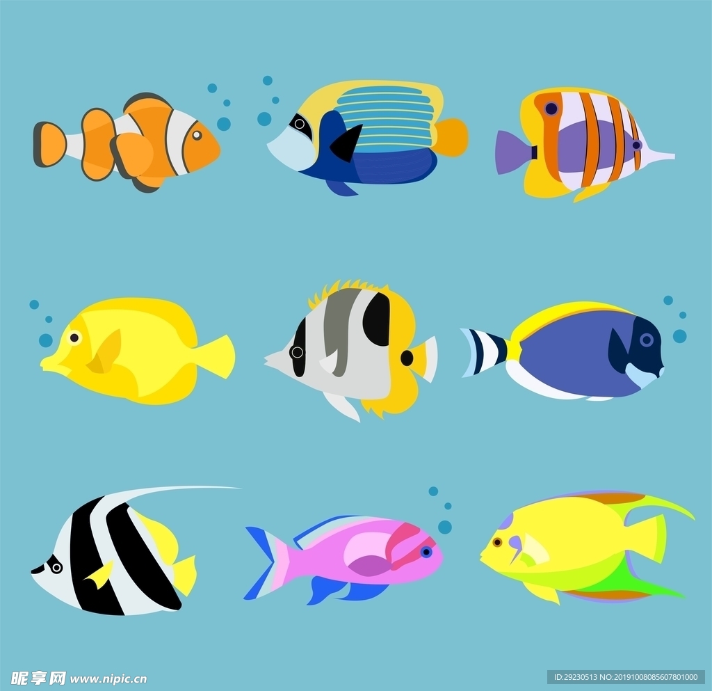 海洋鱼类