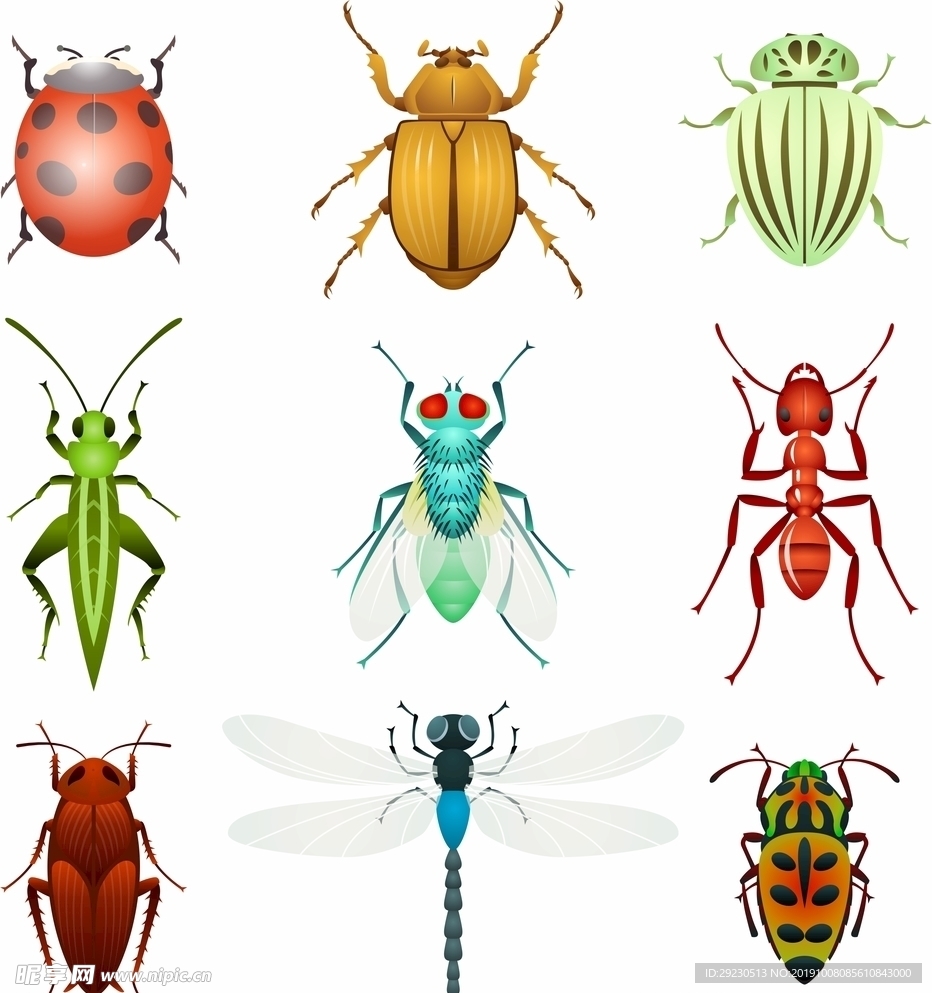 9种昆虫