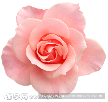 png免扣花