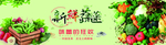 新鲜蔬菜 有机蔬菜 高清图