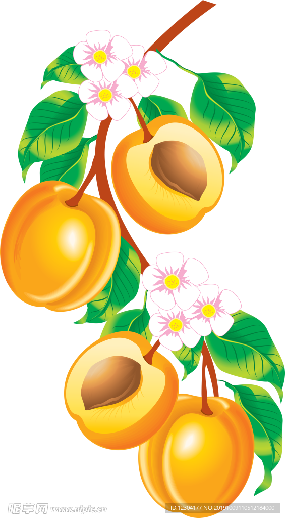 桃子