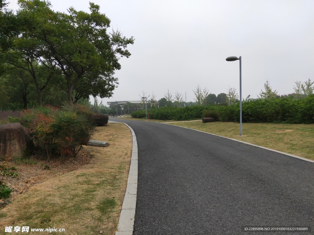 道路