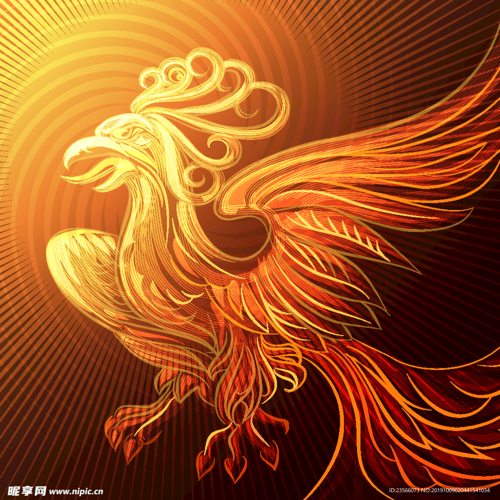 火凤凰图片