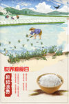 世界粮食日