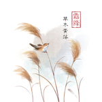 霜降