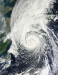 台风
