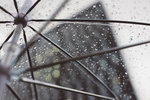 雨珠