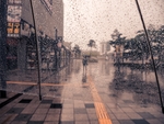 雨珠