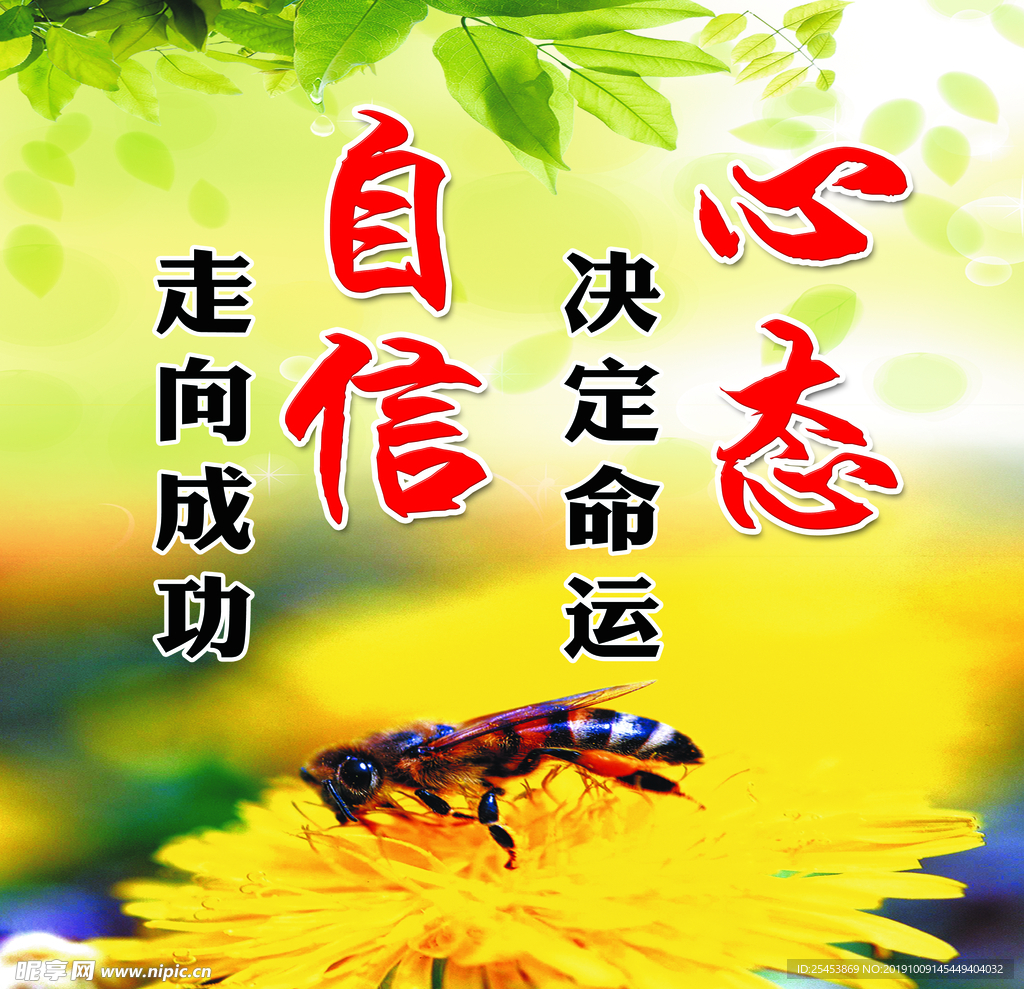 学校文化  自信