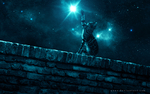 星空下的猫
