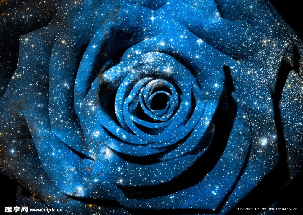 玫瑰星空